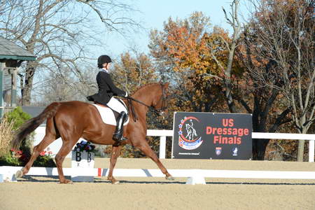 HHB-DressageFinals-11-9-13-2355-DDeRosaPhoto