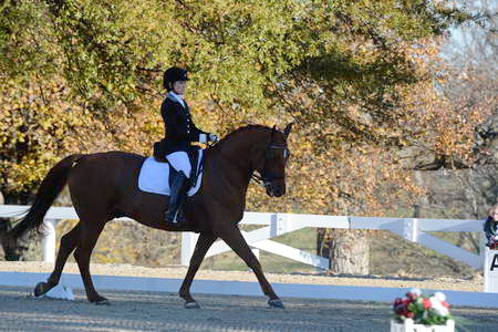 HHB-DressageFinals-11-9-13-2359-DDeRosaPhoto
