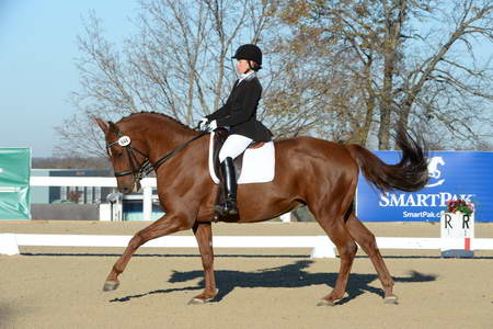 HHB-DressageFinals-11-9-13-2368-DDeRosaPhoto