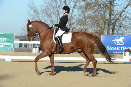 HHB-DressageFinals-11-9-13-2383-DDeRosaPhoto