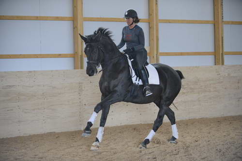 HHB2-10-13-12-0724-Frodo-MarianNilsen-DDeRosaPhoto