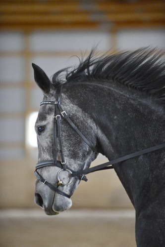 HHB2-10-13-12-0893-Folsom-MarianNilsen-DDeRosaPhoto