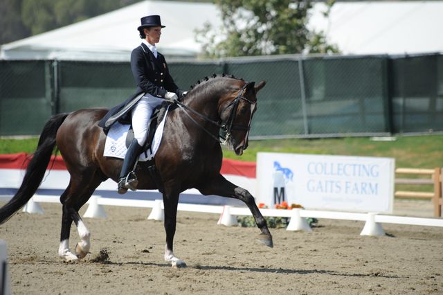 DSEL-62808-537-CourtneyKing-HarmonysMythilus-DeRosaPhoto