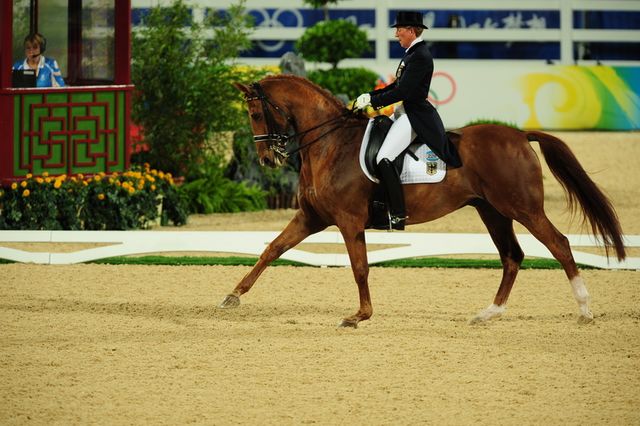 HKD-8-13-08-0553-HeikeKemmer-Bonaparte-GER-DeRosaPhoto.jpg