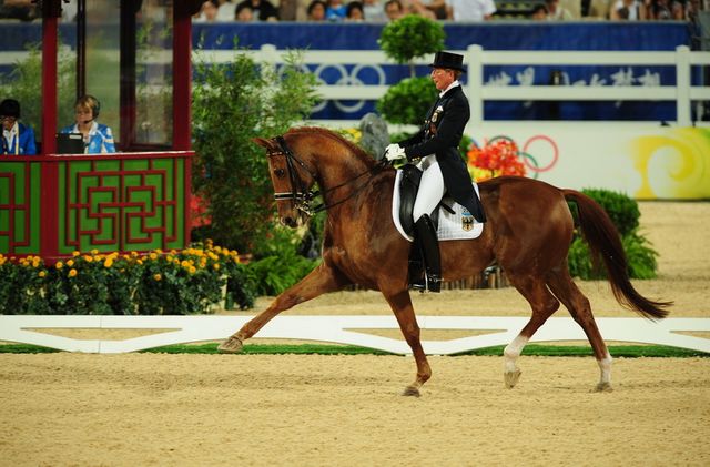 HKD-8-13-08-0562-HeikeKemmer-Bonaparte-GER-DeRosaPhoto.jpg