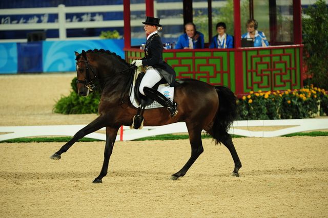 HKD-8-13-08-1159-HayleyBeresford-Relampago-AUS-DeRosaPhoto.jpg