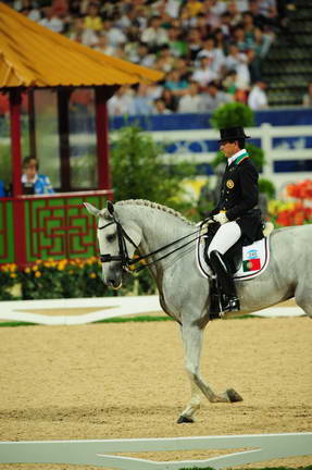 HKD-8-14-08-0728-MiguelRalaoDuarte-Oxalis-POR-DeRosaPhoto.jpg