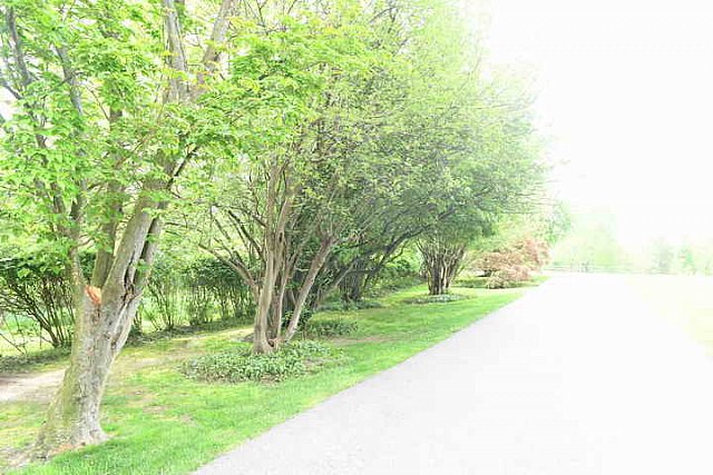 Gardens-IPE-LloydHarbor-5-10-19-7986-DDeRosaPhoto