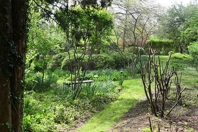 Gardens-IPE-LloydHarbor-5-10-19-7928-DDeRosaPhoto