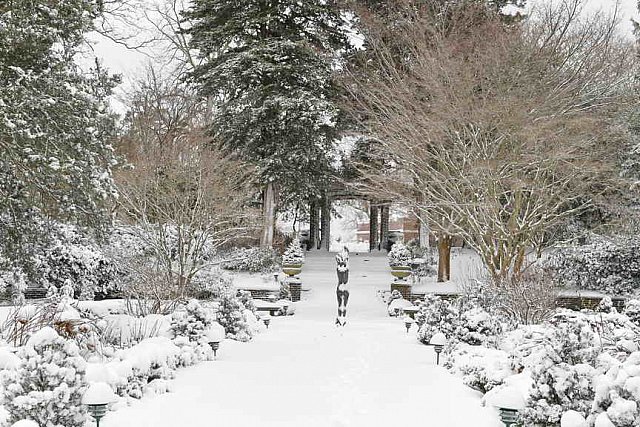 31 Fort Hill-12-17-2020-Snowstorm--0181-DDeRosaPhoto
