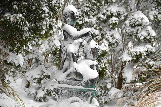 31 Fort Hill-12-17-2020-Snowstorm--0186-DDeRosaPhoto