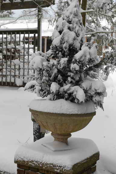 31 Fort Hill-12-17-2020-Snowstorm--0191-DDeRosaPhoto