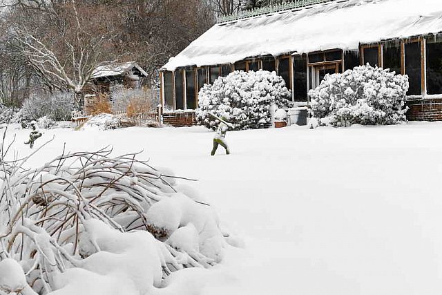 31 Fort Hill-12-17-2020-Snowstorm--0196-DDeRosaPhoto