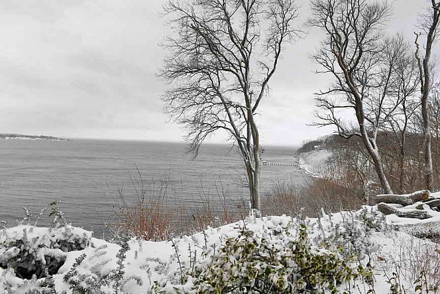 31 Fort Hill-12-17-2020-Snowstorm--0234-DDeRosaPhoto