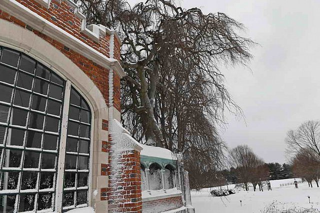 31 Fort Hill-12-17-2020-Snowstorm--0269-DDeRosaPhoto