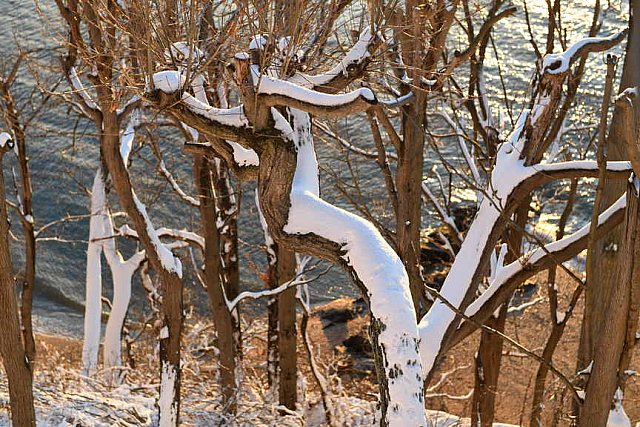 31 Fort Hill-12-17-2020-Snowstorm--0323-DDeRosaPhoto