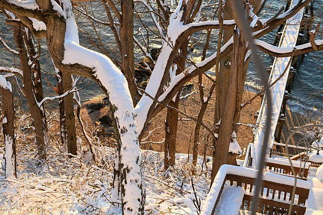 31 Fort Hill-12-17-2020-Snowstorm--0324-DDeRosaPhoto