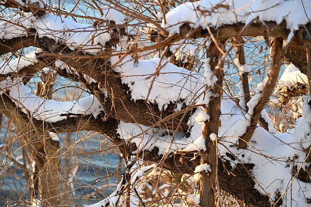 31 Fort Hill-12-17-2020-Snowstorm--0325-DDeRosaPhoto