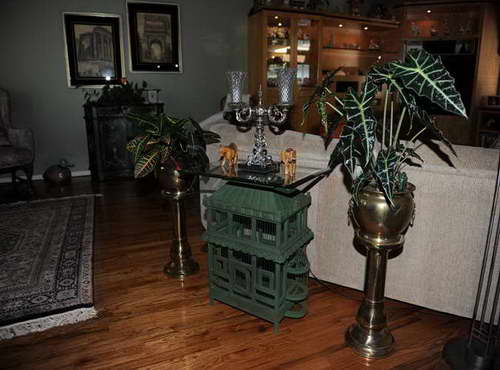 IPE-178_Massapequa-152-DDeRosaPhoto.JPG