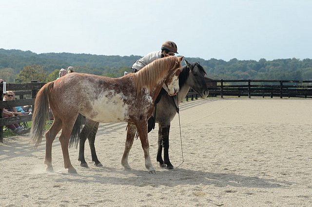 MUSTANG-HANNAH DEMO-10-15-21-2963-DDeRosaPhoto