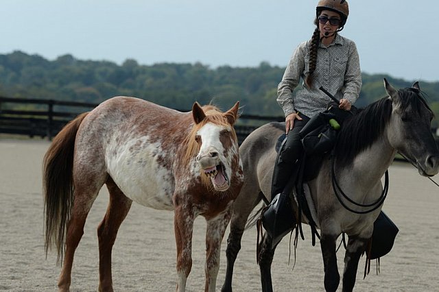 MUSTANG-HANNAH DEMO-10-15-21-2969-DDeRosaPhoto