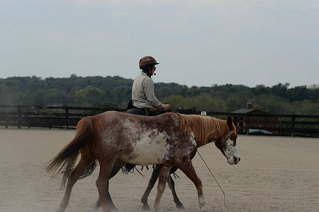 MUSTANG-HANNAH DEMO-10-15-21-2979-DDeRosaPhoto