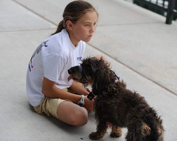 0684-NAJYRC-7-25-09-Dogs-DDeRosaPhoto.jpg