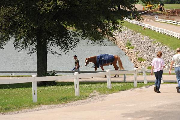 0858-NAJYRC-7-26-09-Misc-DDeRosaPhoto.jpg
