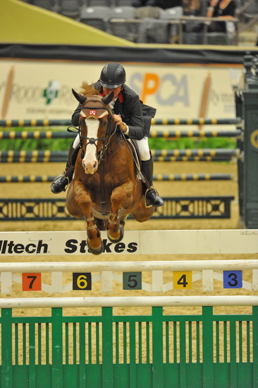 NHS-11-5-11-GrandPrix-3684-ToddMinikus-Pavarotti-DDeRosaPhoto