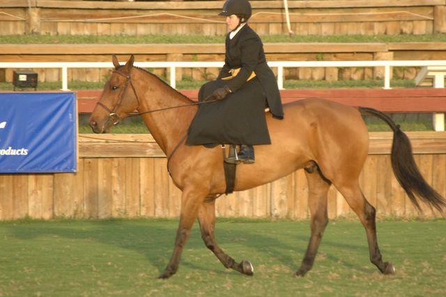 633-StephanieHayes-ZeigfeldFollies-12-2-06-&copy;DeRosaPhoto.jpg