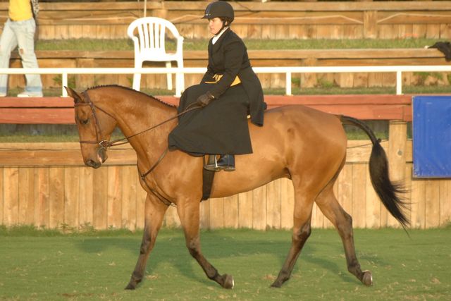635-StephanieHayes-ZeigfeldFollies-12-2-06-&copy;DeRosaPhoto.jpg