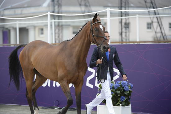 Olympics-EVJg-7-27-12-0409-LionelGuyon-NemetisDeLalou-FRA-DDeRosaPhoto