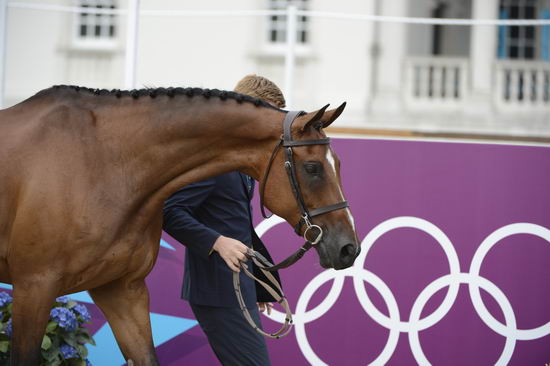Olympics-EVJg-7-27-12-0649-NiklasLinback-MisterPooh-SWE-DDeRosaPhoto