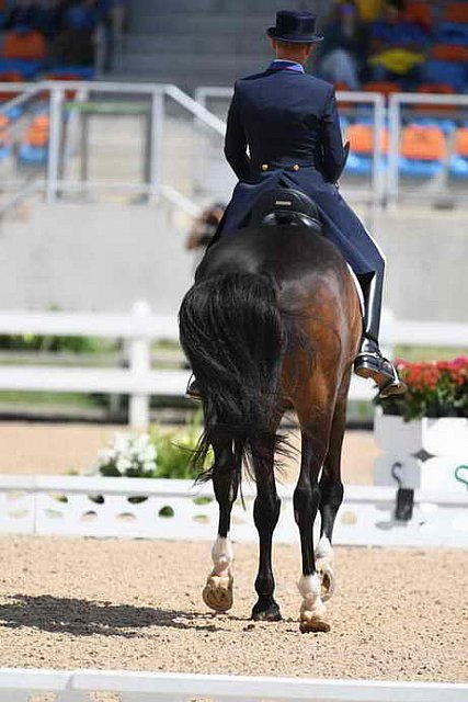 Olympics-RIO-DRE-8-11-16-5600-SteffenPeters-Legolas92-USA-DDeRosaPhoto