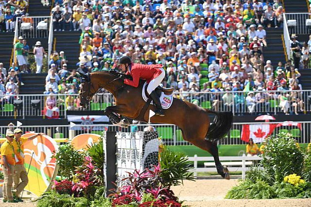 Olympics-RIO-SJ-3rdQual-RND2TM-7542-McLainWard-Azur-USA-DDeRosaPhoto