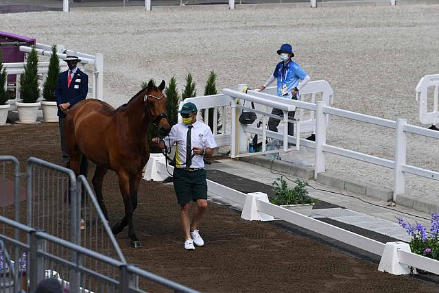 OLY-2020-DRESSAGE-JOG-7-24-21-0718-101-Mary Hanna-Calanta-AUS-DDEROSAPHOTO