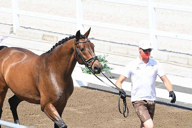 OLY-2020-DRESSAGE-JOG-7-24-21-0738-104-FLORIAN BACHER-FIDERTRAUM-AUT-DDEROSAPHOTO