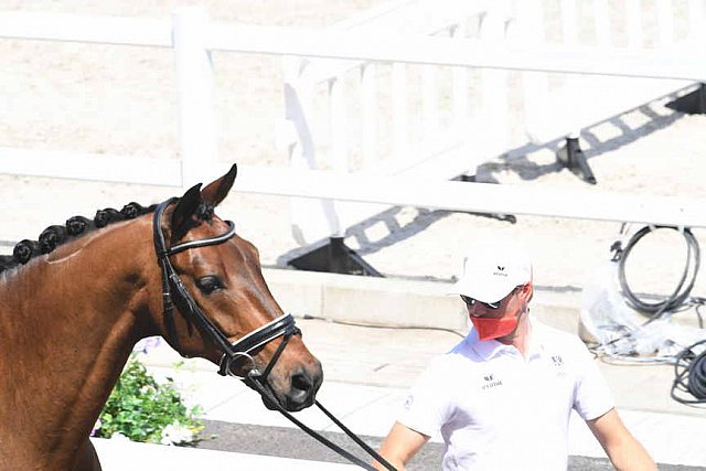 OLY-2020-DRESSAGE-JOG-7-24-21-0739-104-FLORIAN BACHER-FIDERTRAUM-AUT-DDEROSAPHOTO