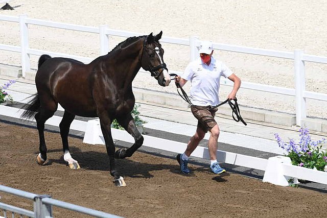 OLY-2020-DRESSAGE-JOG-7-24-21-0749-105-THEURER V MAX-ABEGGLEN NRW-AUT-DDEROSAPHOTO