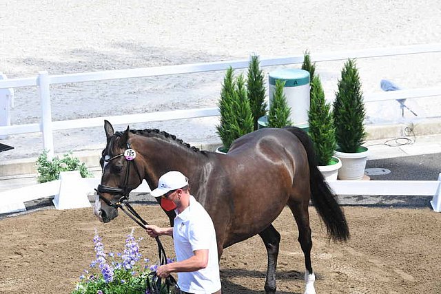 OLY-2020-DRESSAGE-JOG-7-24-21-0752-105-THEURER V MAX-ABEGGLEN NRW-AUT-DDEROSAPHOTO
