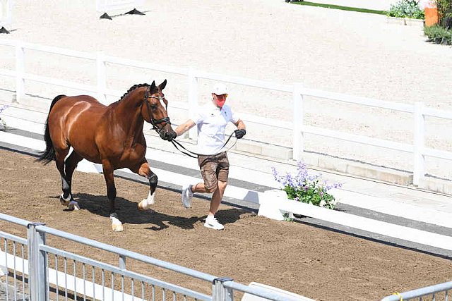 OLY-2020-DRESSAGE-JOG-7-24-21-0757-106-C SCHUMACH C-TE QUIERO SF-AUT-DDEROSAPHOTO