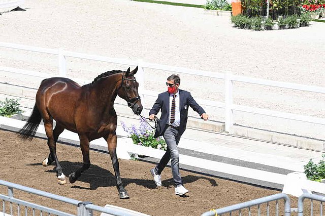 OLY-2020-DRESSAGE-JOG-7-24-21-0766-108-ALEXA FAIRCHILD-DABANOS D'04-BEL-DDEROSAPHOTO