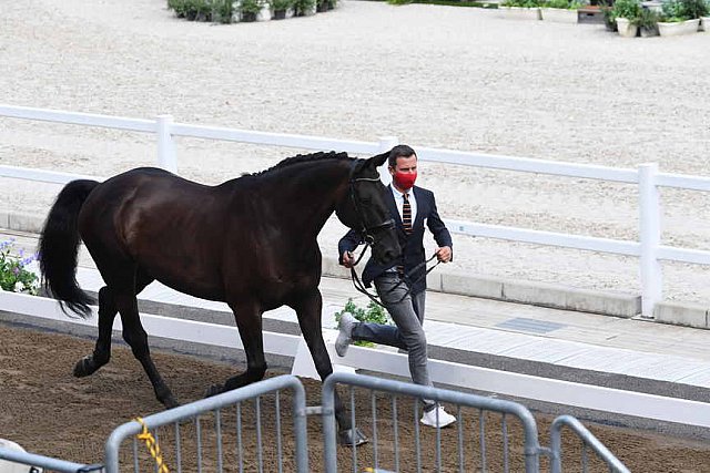 OLY-2020-DRESSAGE-JOG-7-24-21-0773-109-DOMIEN MICHIELS-INTERMEZZO VAN HET MEERDA-BEL-DDEROSAPHOTO