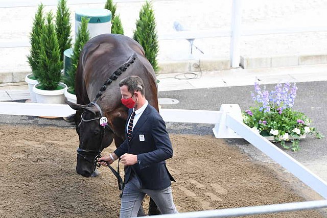 OLY-2020-DRESSAGE-JOG-7-24-21-0776-109-DOMIEN MICHIELS-INTERMEZZO VAN HET MEERDA-BEL-DDEROSAPHOTO