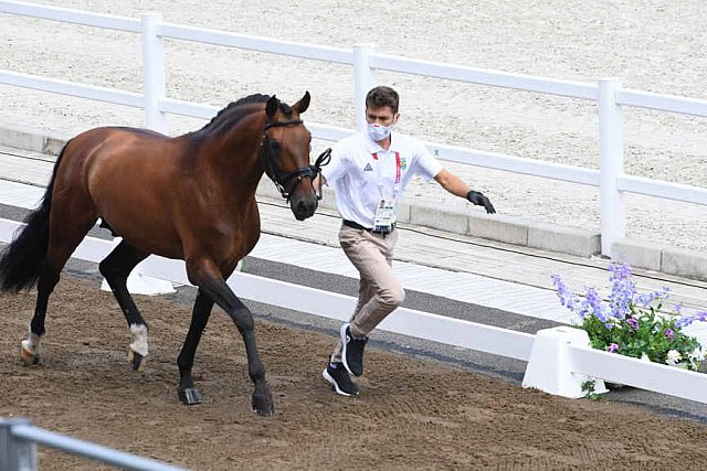 OLY-2020-DRESSAGE-JOG-7-24-21-0797-112-OLIVA JV MARCARI-ESCORIAL-BRA-DDEROSAPHOTO