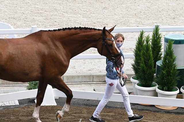 OLY-2020-DRESSAGE-JOG-7-24-21-0810-113-BEAULIEU B FRASER-ALL IN-CAN-DDEROSAPHOTO