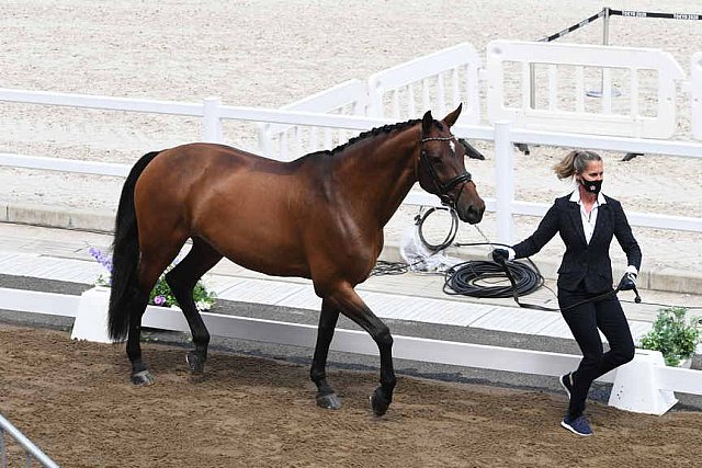 OLY-2020-DRESSAGE-JOG-7-24-21-0885-122-LOSIS DE MUNIZ Y-AQUAMARIJN-DOM-DDEROSAPHOTO