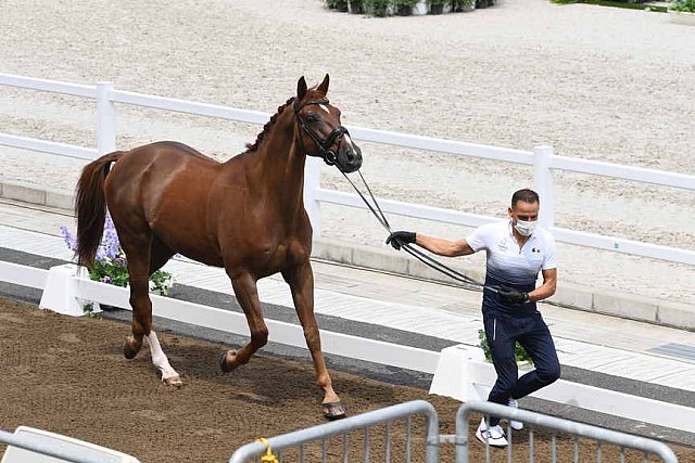 OLY-2020-DRESSAGE-JOG-7-24-21-0948-129-ALEXANDRA AYACHE-ZQ WHAT-FRA-DDEROSAPHOTO