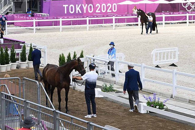 OLY-2020-DRESSAGE-JOG-7-24-21-0971-132-ISABELLA PINTO-HOT CHOCOLAT VD-KWAPLAS-FRA-DDEROSAPHOTO