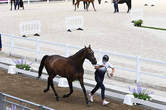 OLY-2020-DRESSAGE-JOG-7-24-21-0973-132-ISABELLA PINTO-HOT CHOCOLAT VD-KWAPLAS-FRA-DDEROSAPHOTO